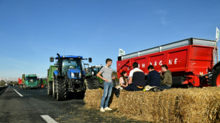 Bottes de paille, lisier et barrages: les agriculteurs amplifient leur mouvement