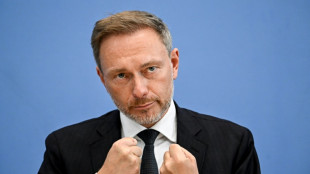 Lindner will mehr Menschen in Arbeit bringen