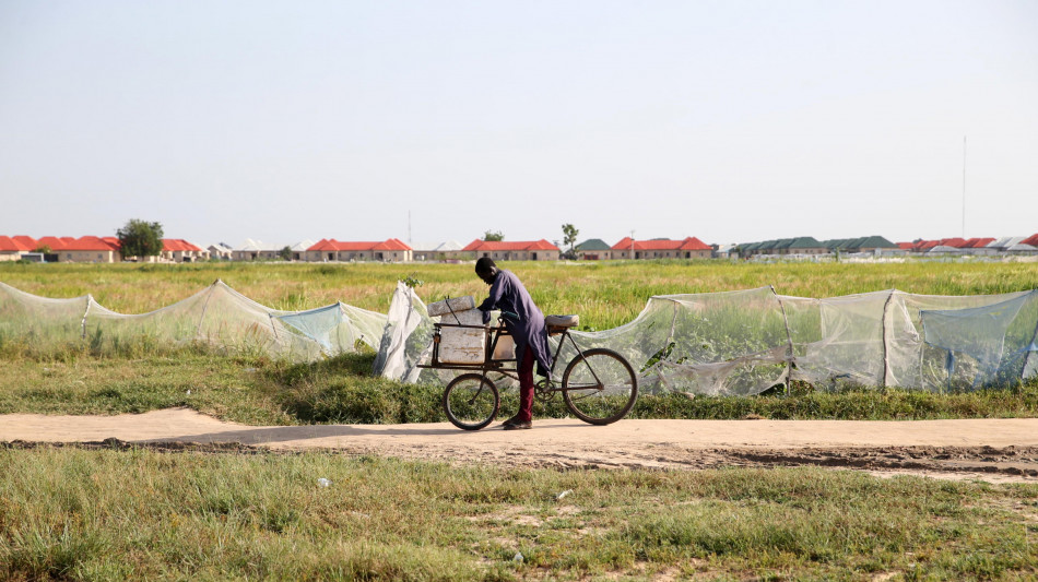 Almeno 40 agricoltori uccisi da jihadisti in Nigeria