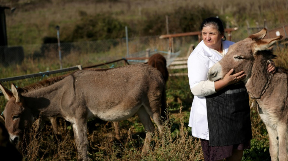 Norwegischer Staatsfonds nimmt Tierwohl in Vorgaben an Unternehmen auf