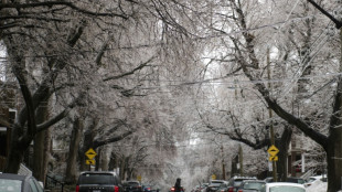 Tempête de glace dans l'est du Canada: deux morts, importants dégâts matériels