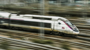 Trafic interrompu sur la ligne LGV Sud-Est: 80.000 voyageurs touchés