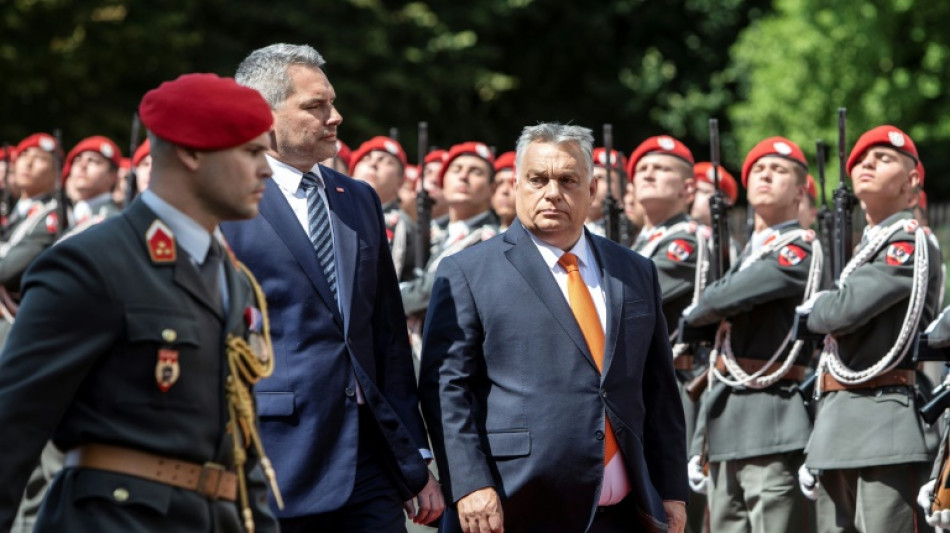 Viktor Orban à Vienne après le tollé sur "le mélange des races"