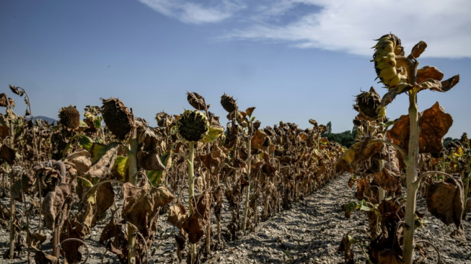 L'épisode de chaleur tardif se poursuit en France