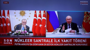 Erdogan viajará "pronto" a Rusia para reunirse con Putin