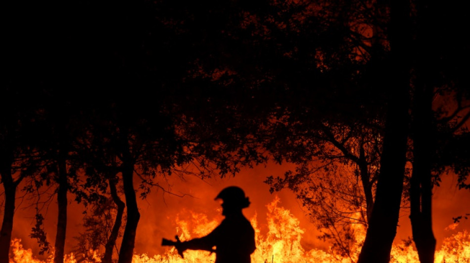 Haute-Corse: un incendie ayant parcouru 200 hectares maîtrisé