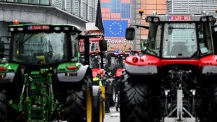 Tracteurs en force à Bruxelles, les 27 prêts à réviser la PAC