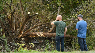 Hallan culpable del accidente que dejó 20 muertos al gerente de una empresa de limusinas en EEUU