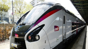 Le trafic des TGV de l'axe Atlantique encore "perturbé" après une panne majeure