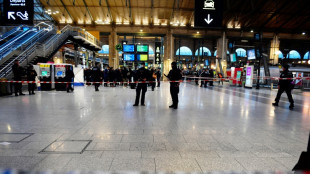 Agression gare du Nord : le suspect mis en examen et placé en détention provisoire