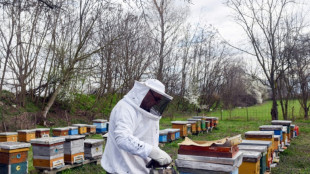 North Macedonia's beekeepers face climate change challenge