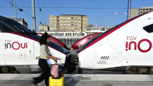 Grève des contrôleurs SNCF: fortes perturbations ce week-end avec "un TGV sur deux"