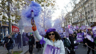 Contre les violences faites aux femmes, une marée violette dans les rues