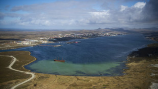 Comunicado oficial argentino causa polêmica por chamar Malvinas de 'Falklands'