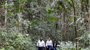 En Papouasie, Macron lance un nouveau partenariat pour protéger la forêt