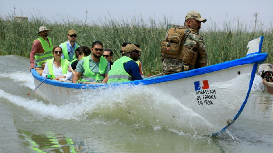 En Irak, un bateau pour ramasser les déchets sur des marais célèbres