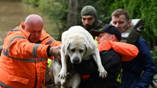 Dans le sillage de la tempête Boris, un paysage de désolation