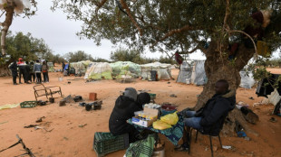 En Tunisie, des migrants survivent dans des champs d'oliviers en lorgnant l'Europe