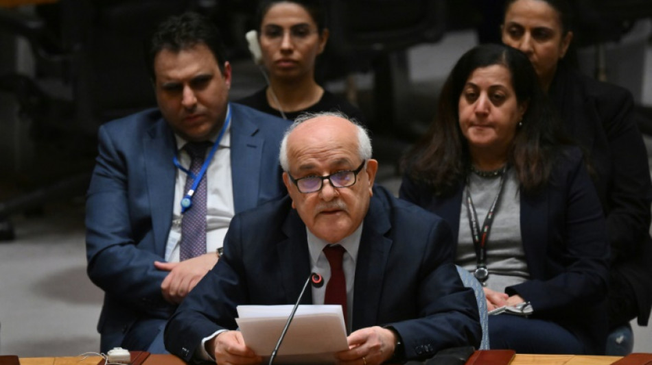 Palestinians relaunch bid to become UN member state