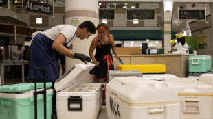 Renomados chefs havaianos preparam grande operação para alimentar sobreviventes dos incêndios