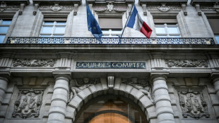 Santé: la Cour des comptes veut réorganiser une pédopsychiatrie "saturée"