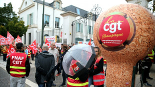 Vendanges en Champagne: une centaine de manifestants réclament une table ronde