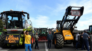 Agriculteurs français et espagnols manifestent ensemble contre l'Europe