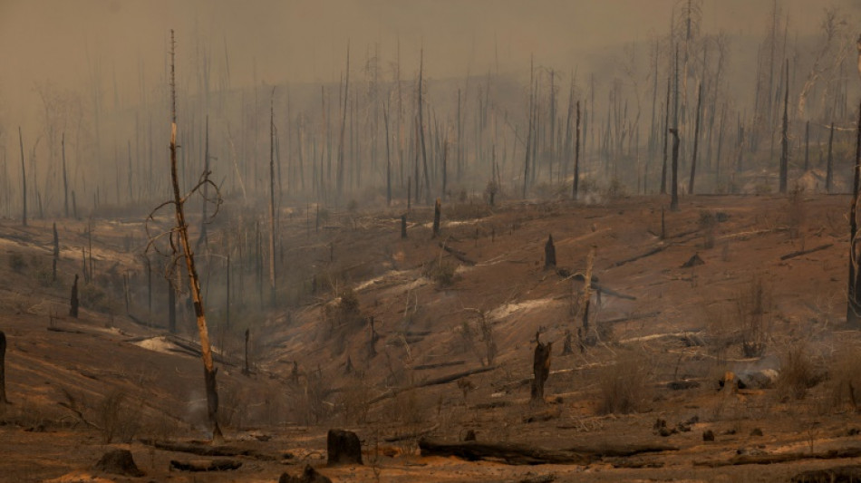 Climat: le monde ne se prépare pas suffisamment au pire, alertent des scientifiques