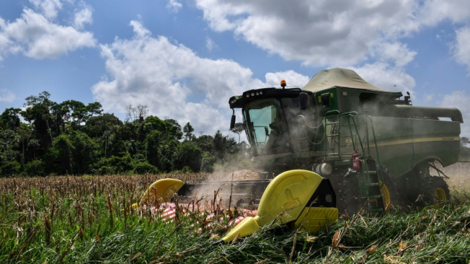 Agriculture giant Brazil nervously eyes Ukraine war