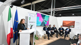 Ambasciatore italiano a Baku, Cop29 positiva per il nostro Paese