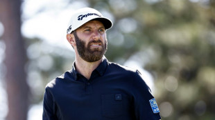 Former world No. 1 Dustin Johnson quits PGA tour