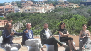 Caterina Murino, 'fermare la speculazione eolica in Sardegna'