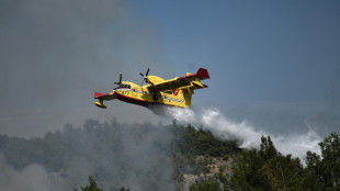 Waldbrand im nordgriechischen Dadia-Nationalpark weiter "außer Kontrolle"