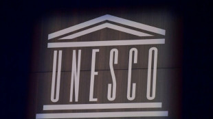 A l'Unesco, la désinformation sur internet en débat