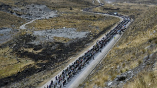 Cocaleros marchan en Bolivia para exigir cierre de mercado de coca oficialista