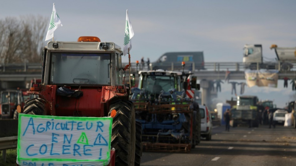 En Occitanie, le ras-le-bol agricole mobilise tous azimuts et se poursuit