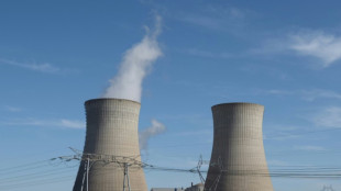 Macron réaffirme le cap d'une relance du nucléaire à marche forcée