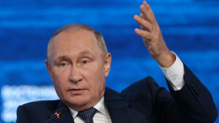 Putin niega que Rusia use la energía como "arma" contra Europa 