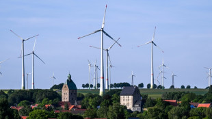 Energie aus Wind und Sonne deckt Hälfte des Stromverbrauchs im ersten Halbjahr