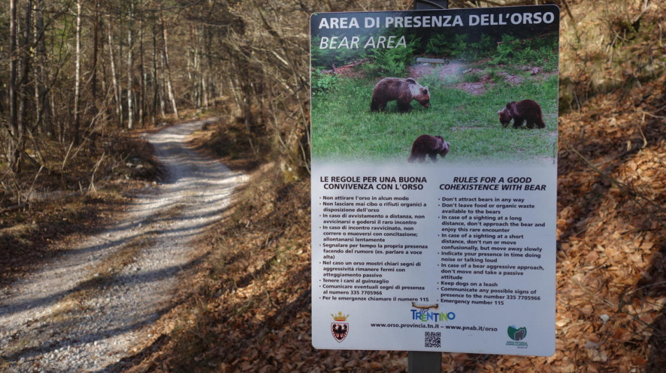 Ad agosto sono calati gli avvistamenti di orsi in Trentino