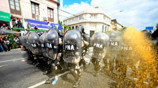 Argentine: manifestations et heurts à la veille des 100 jours de Milei