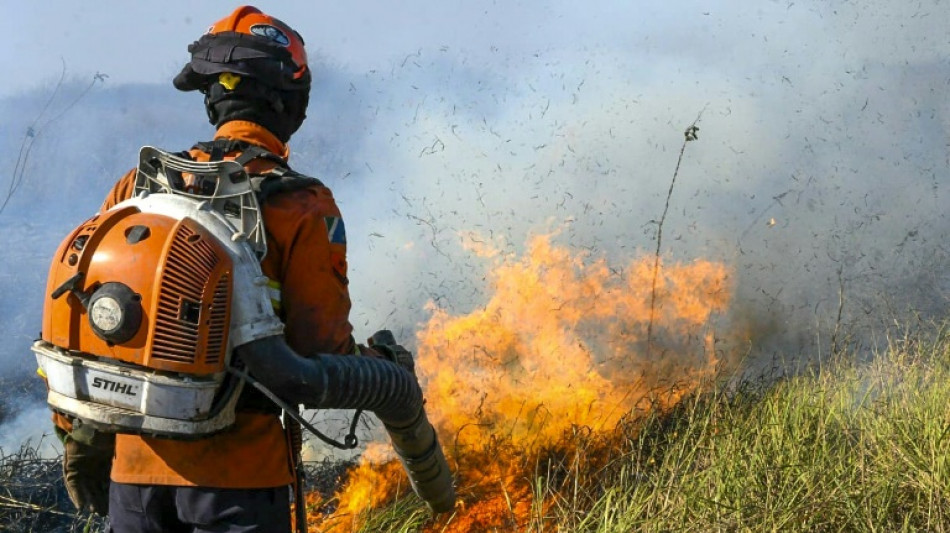 Mato Grosso do Sul decreta situação de emergência no Pantanal