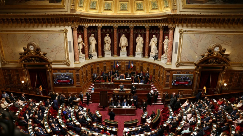 Loi de programmation budgétaire: le Sénat tente d'exister, malgré le 49.3