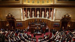 Loi de programmation budgétaire: le Sénat tente d'exister, malgré le 49.3