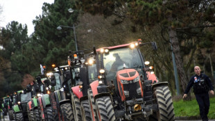 La levée de blocages se poursuit, mais certains agriculteurs veulent poursuivre le mouvement 