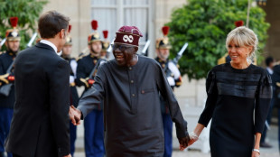 Nigerian state visit signals shift in France's Africa strategy

