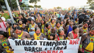 Des autochtones manifestent à Brasilia, à la veille d'un procès crucial pour leurs terres