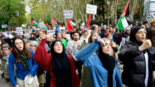 Miles de manifestantes reclaman en Madrid un alto el fuego en Gaza