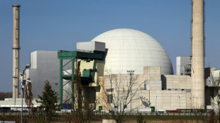 Neue Castorbehälter dürfen vorerst an Atomkraftwerk Phillipsburg  eingelagert werden