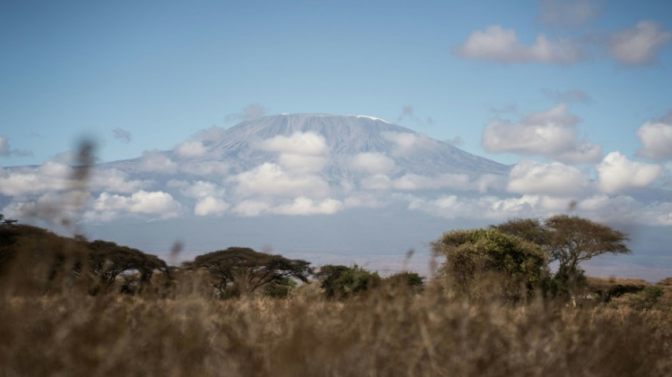 Tanzanie: l'incendie sur le Kilimandjaro est "maîtrisé", selon les autorités 